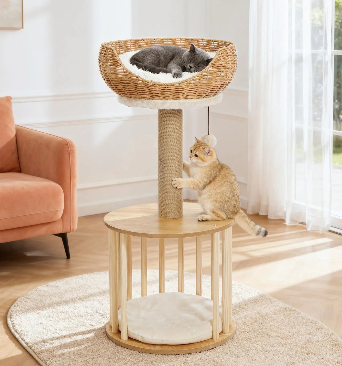 How to Choose a Cat Tree for a Small Apartment (That Actually Looks Good)