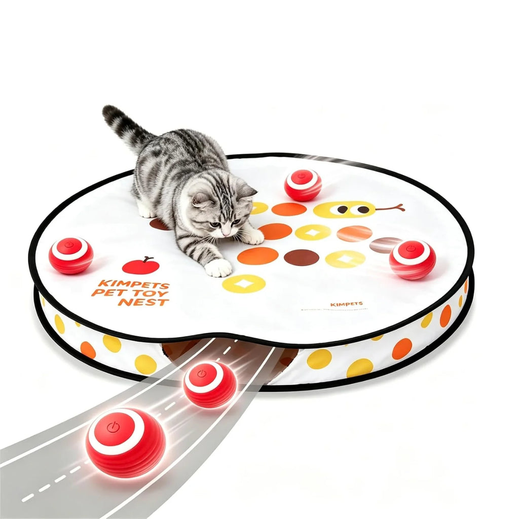 Hide & Seek Interactive Cat Toy