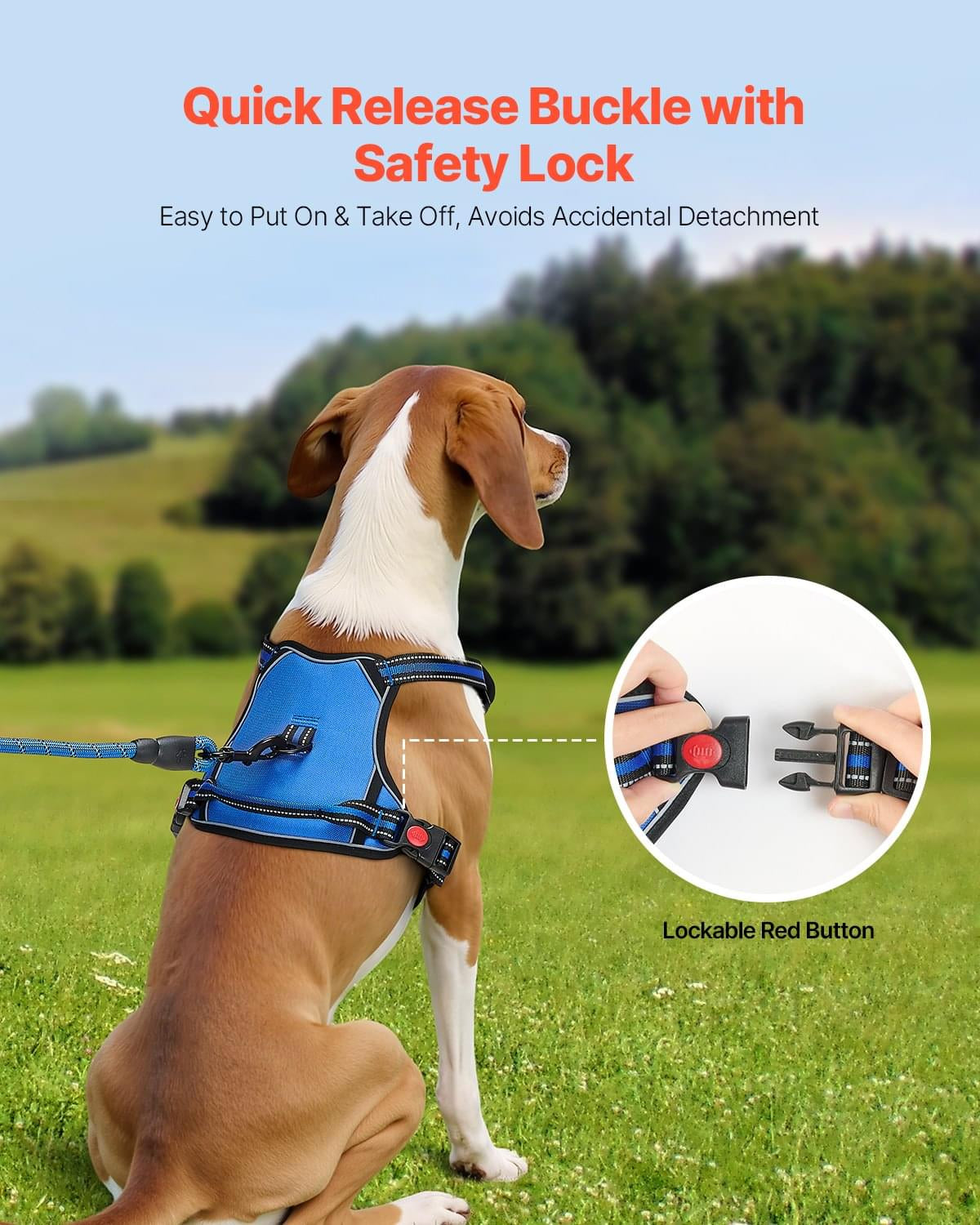 No-Pull Dog Harness & 5ft Leash Set