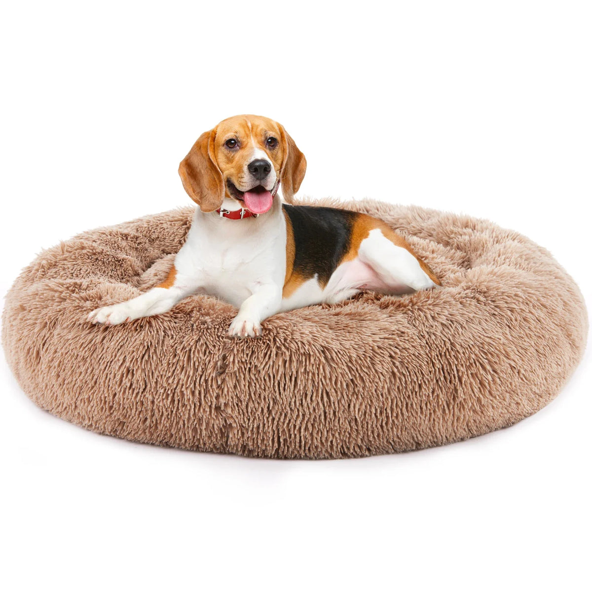 Cozy Donut Dog Bed