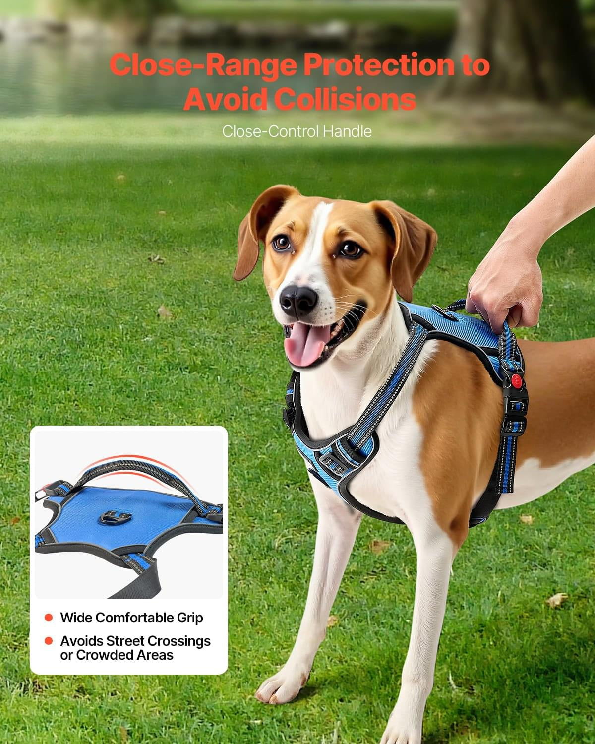 No-Pull Dog Harness & 5ft Leash Set