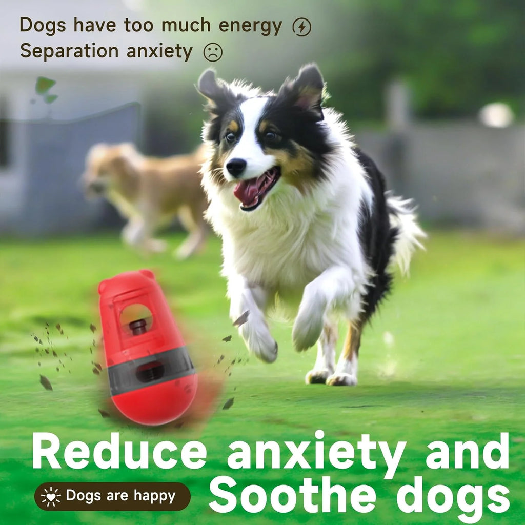 Treat-Dispensing Dog Puzzle Toy