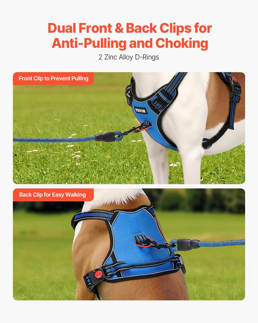 No-Pull Dog Harness & 5ft Leash Set
