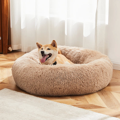 Cozy Donut Dog Bed