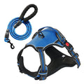 No-Pull Dog Harness & 5ft Leash Set