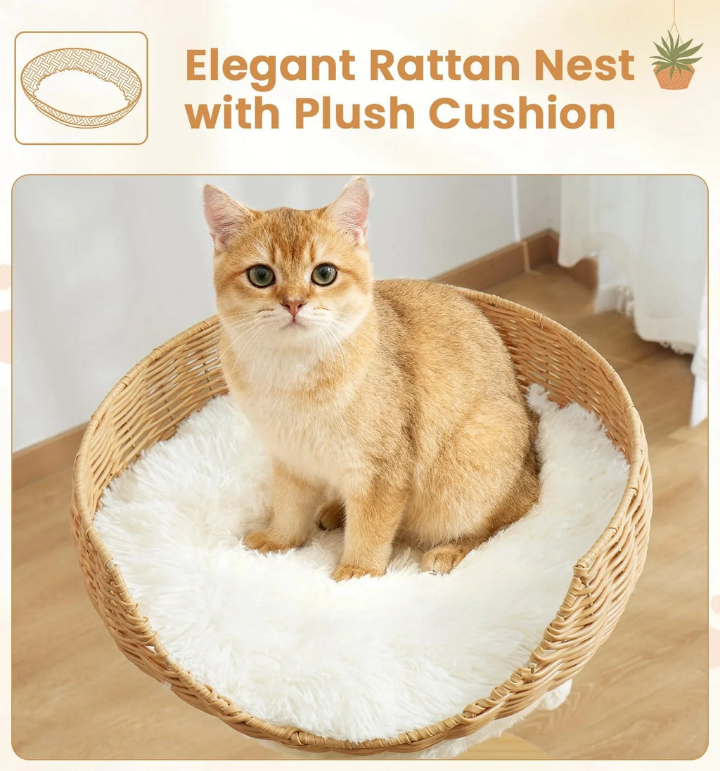 Modern Rattan Cat Tree